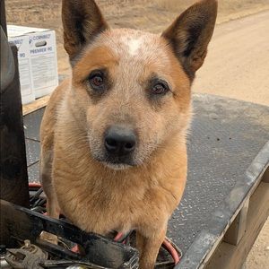 Meet your Posher, Erik